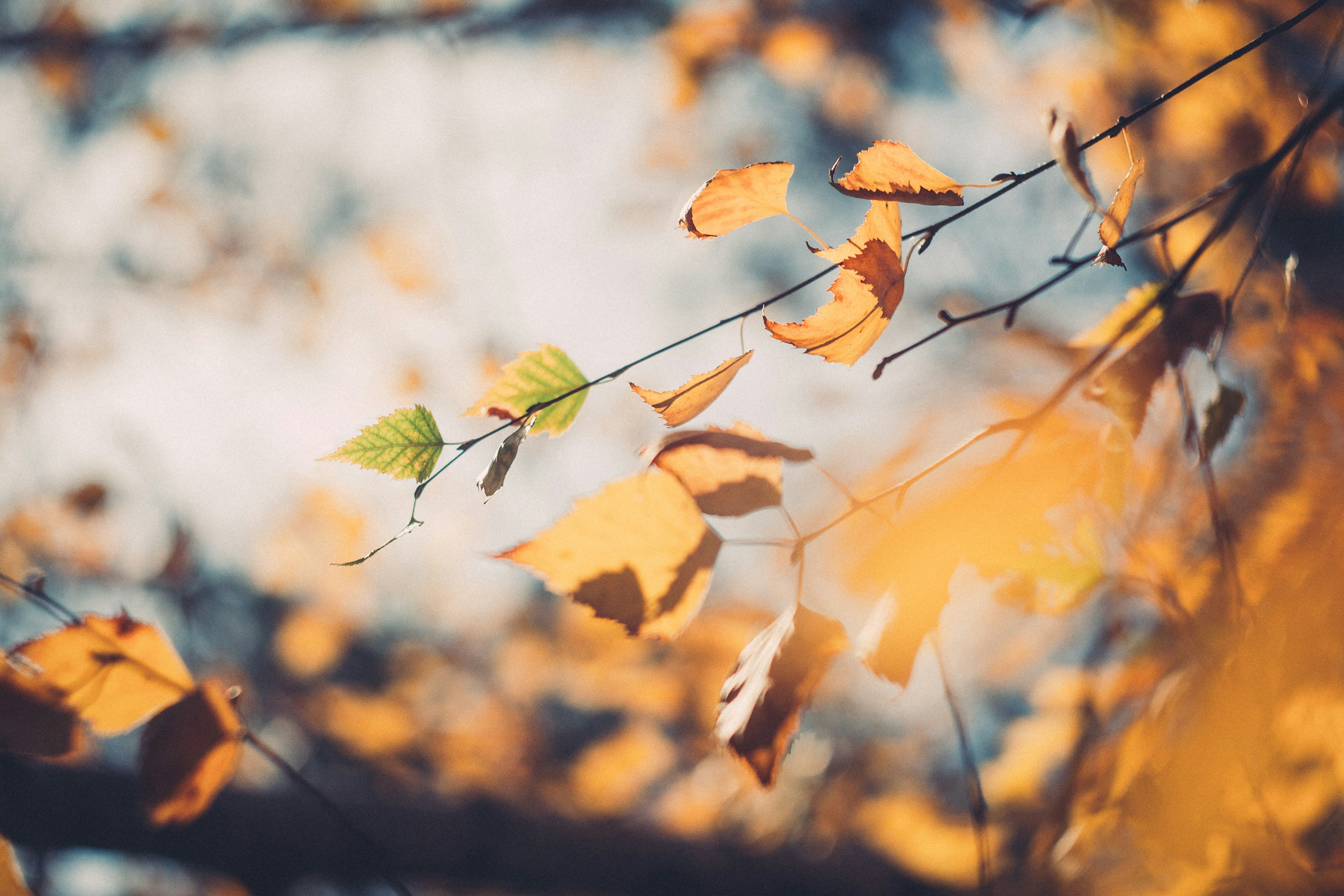 Photo by onmywayhome