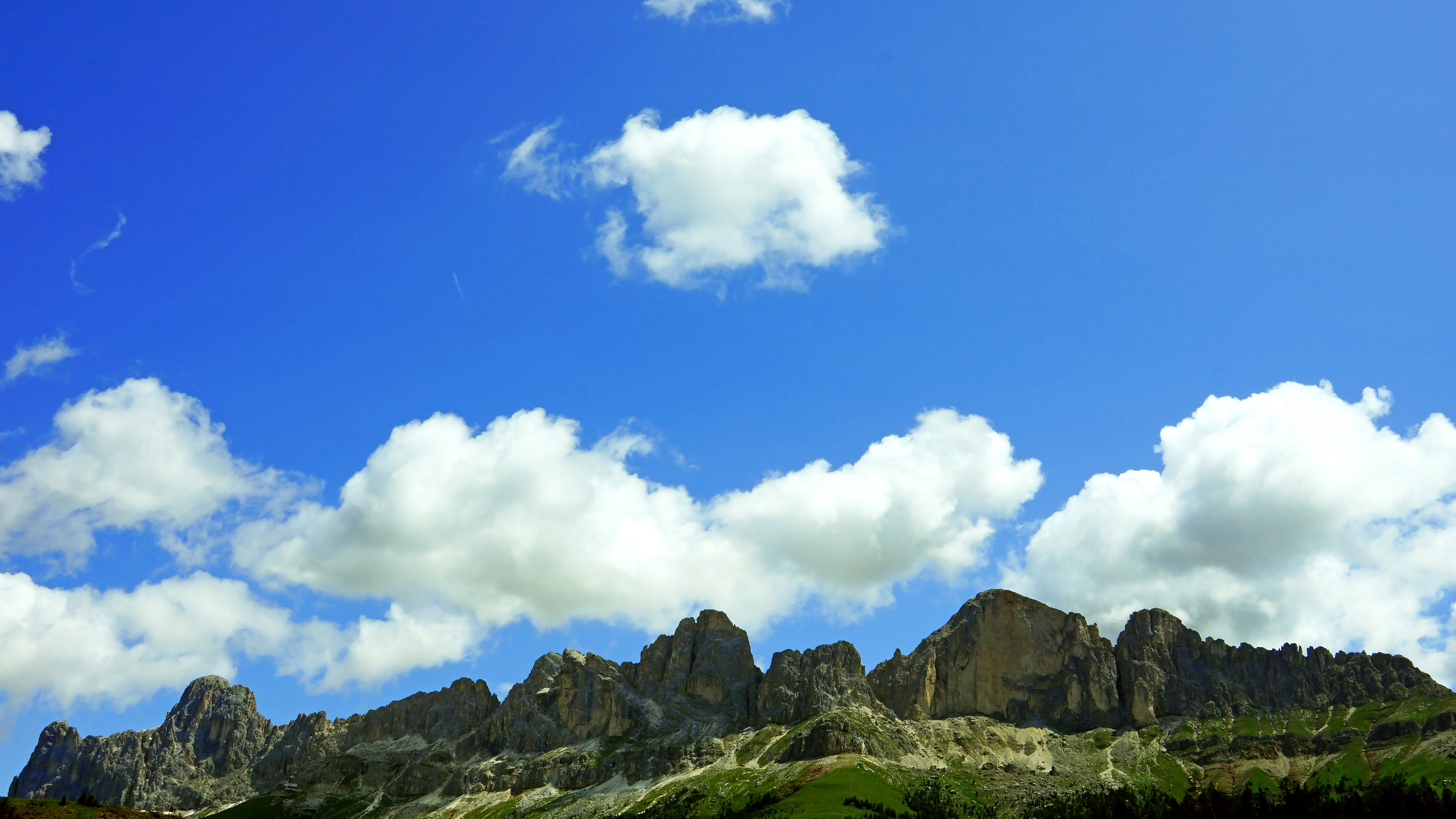 Photo by borisview