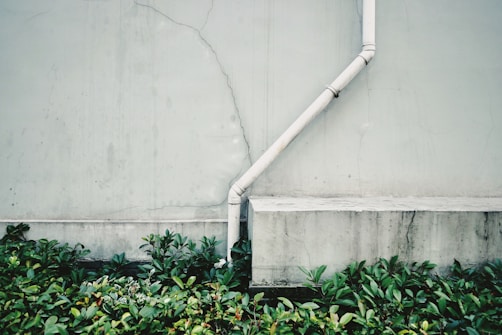 A cracked wall with a white drain pipe running diagonally across it. At the base of the wall, there is dense green foliage with a variety of leaves in different shades of green.