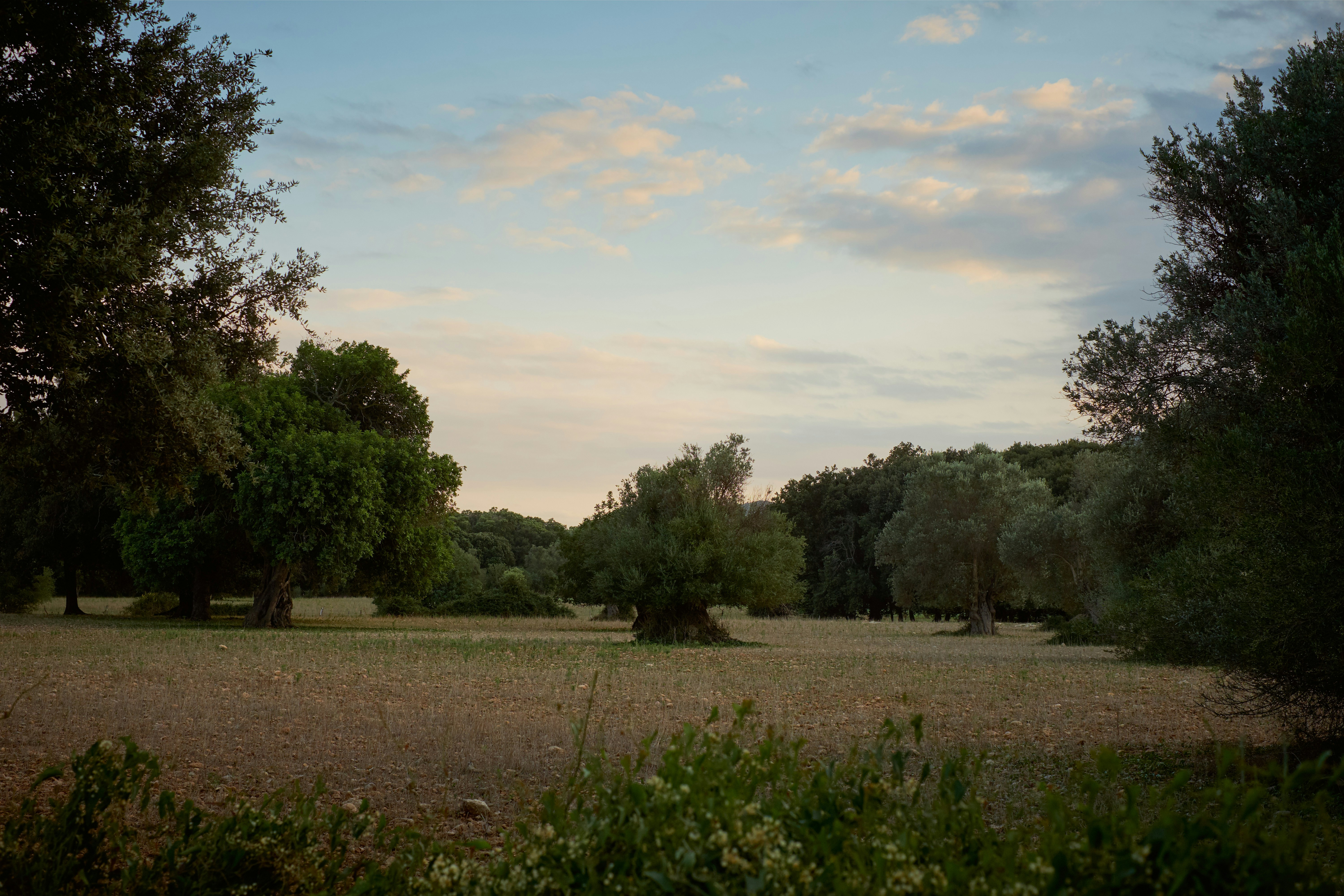 Photo by victor_vector