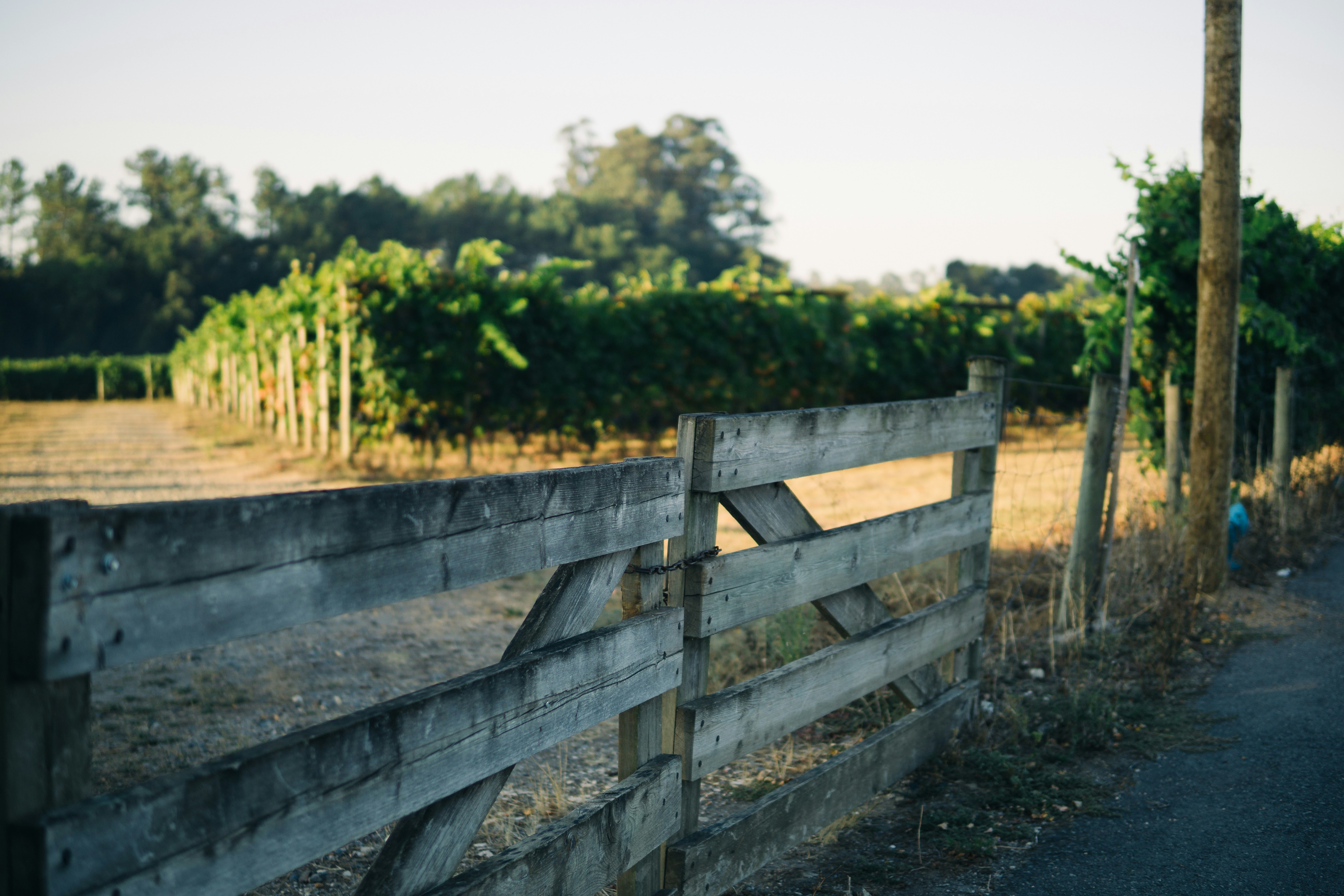 gray wooden fence