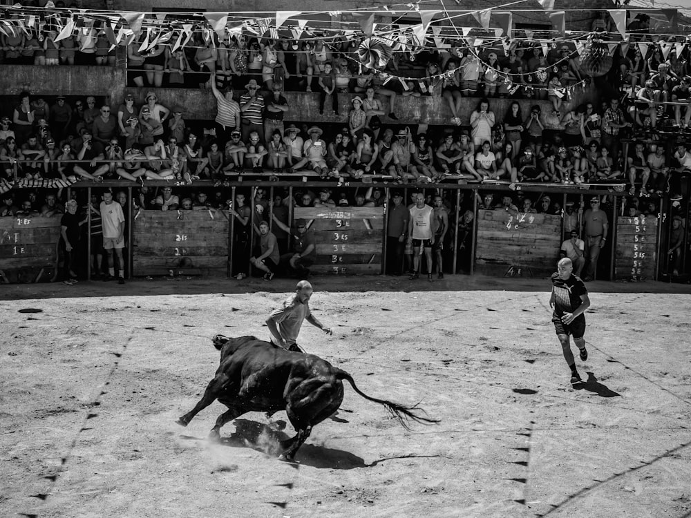 grayscale photography of two men bullfighting