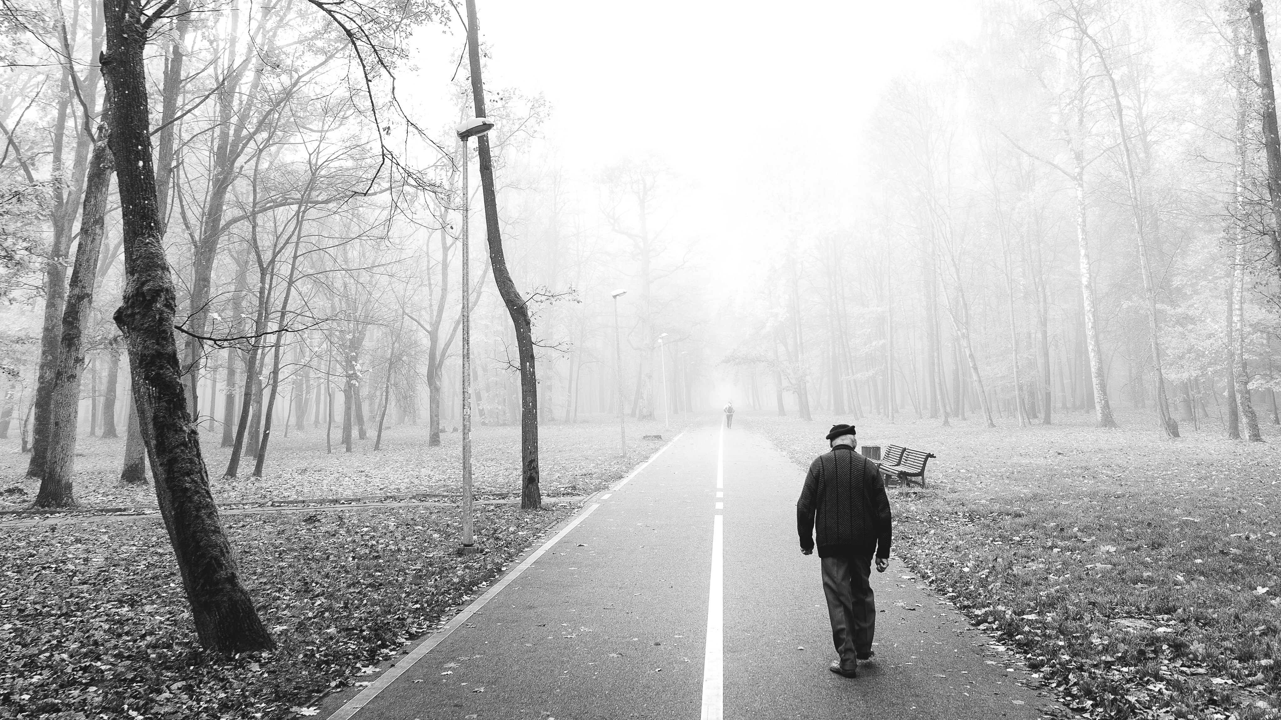 person walking on pathway
