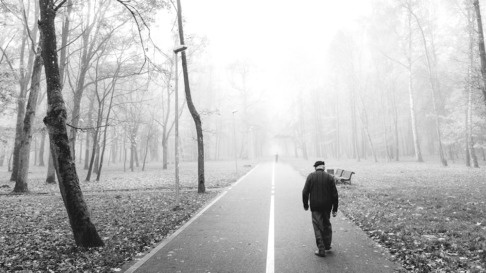 person walking on pathway