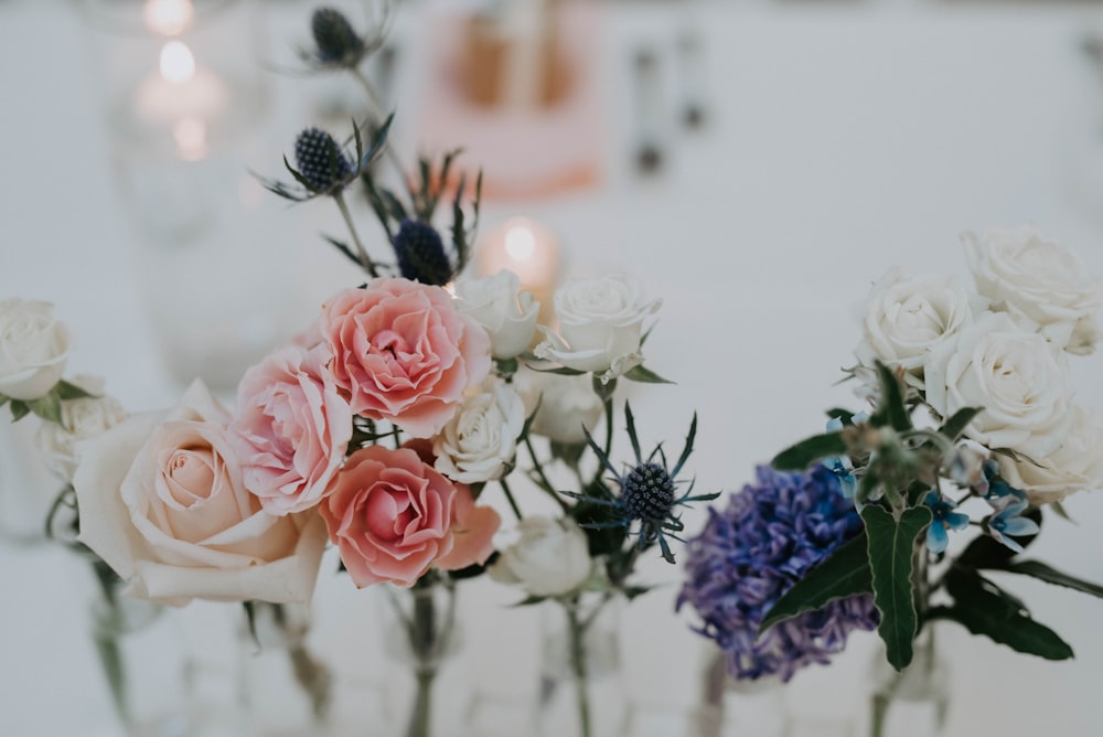 white and pink flowers