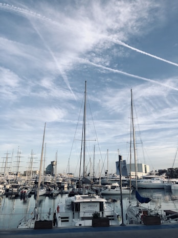A bustling marina filled with various sailboats and yachts, moored side by side. Tall masts rise against a backdrop of a blue sky with scattered clouds. In the distance, a mix of modern buildings and industrial structures frames the harbor scene.