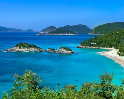 green leafed trees and body of water