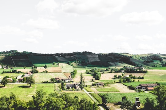 crop field in Castell'Arquato Italy