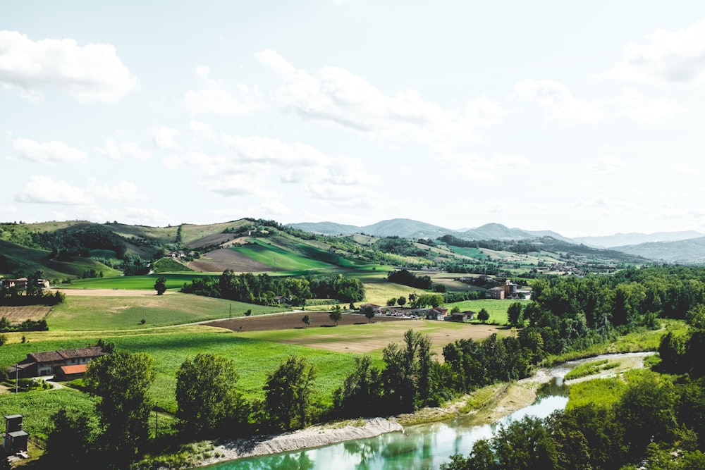 green leafed trees and river