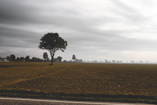 brown land field in Cremona Italy