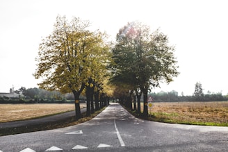 A peaceful rural road with clear lane markings and road signs.