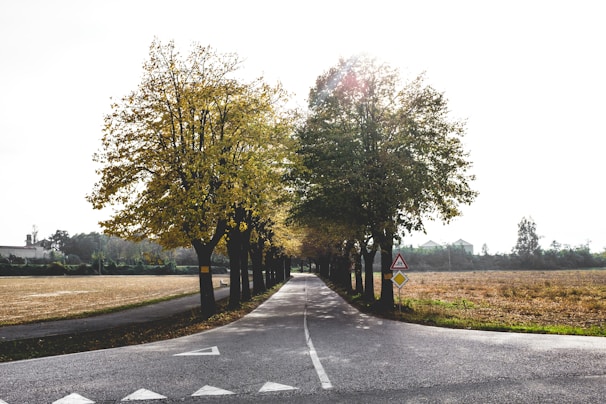 A peaceful rural road with clear lane markings and road signs.