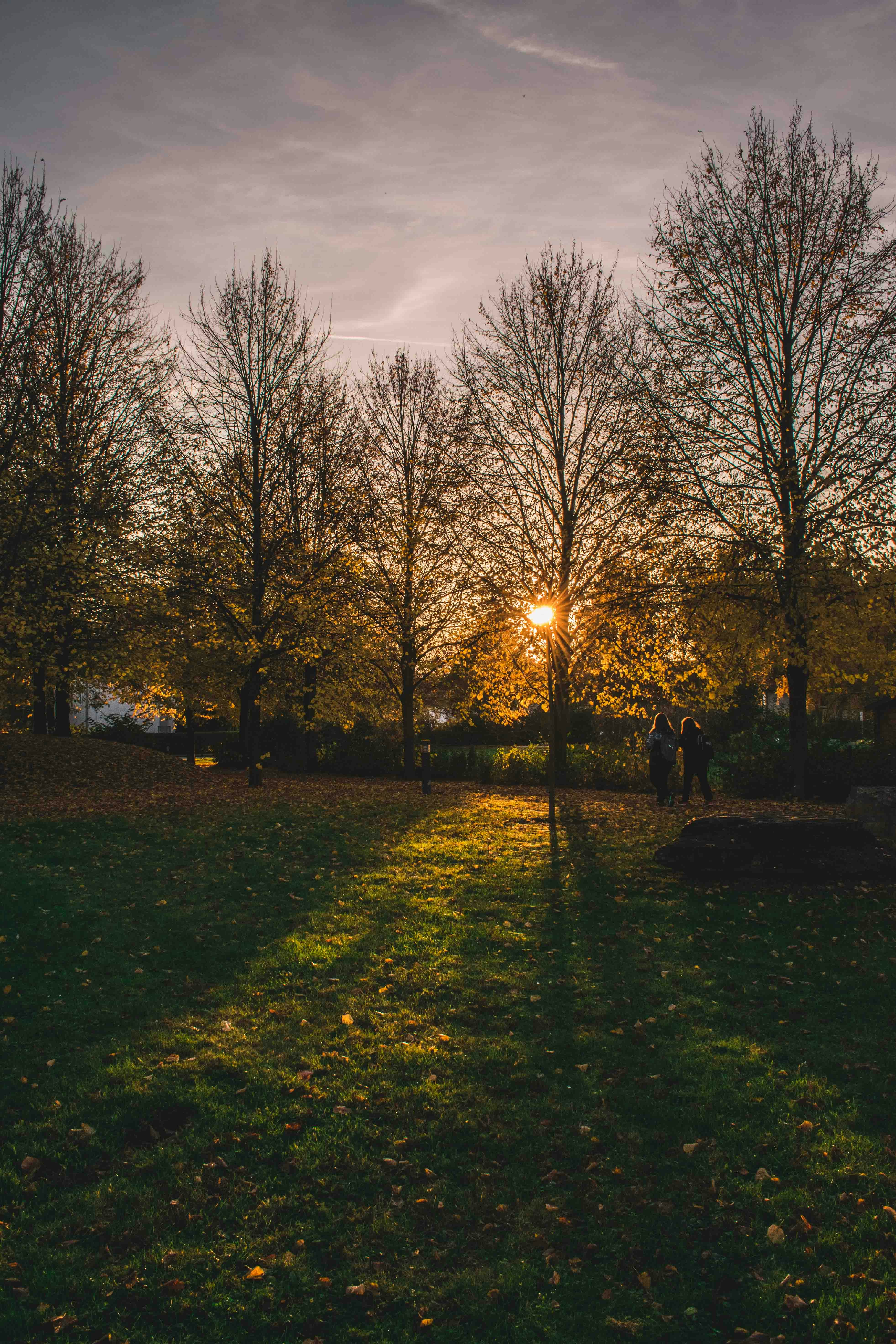 Photo by jamillatrach