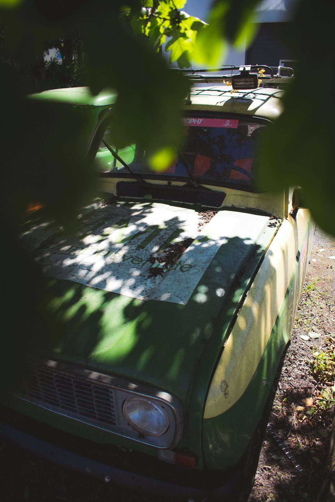 green and white SUV