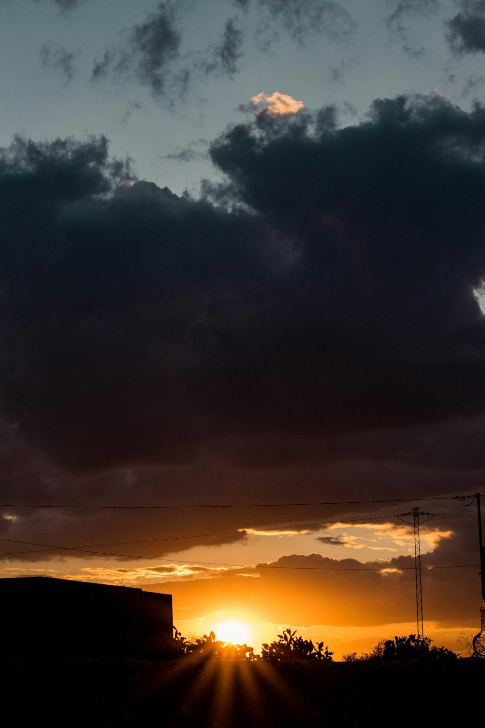 Silhouette von Bäumen und Haus zur goldenen Stunde