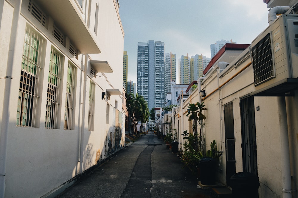 gray concrete road in between buildings during daytime