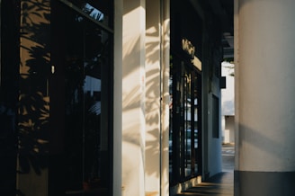 Warm sunlight casts intricate shadows of leaves on the walls and glass of a building exterior, creating patterns and a peaceful ambiance. The sunlight highlights the architectural features and aligns with the building's columns and windows.