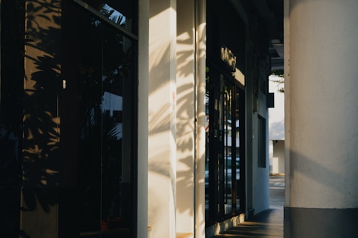 Warm sunlight casts intricate shadows of leaves on the walls and glass of a building exterior, creating patterns and a peaceful ambiance. The sunlight highlights the architectural features and aligns with the building's columns and windows.
