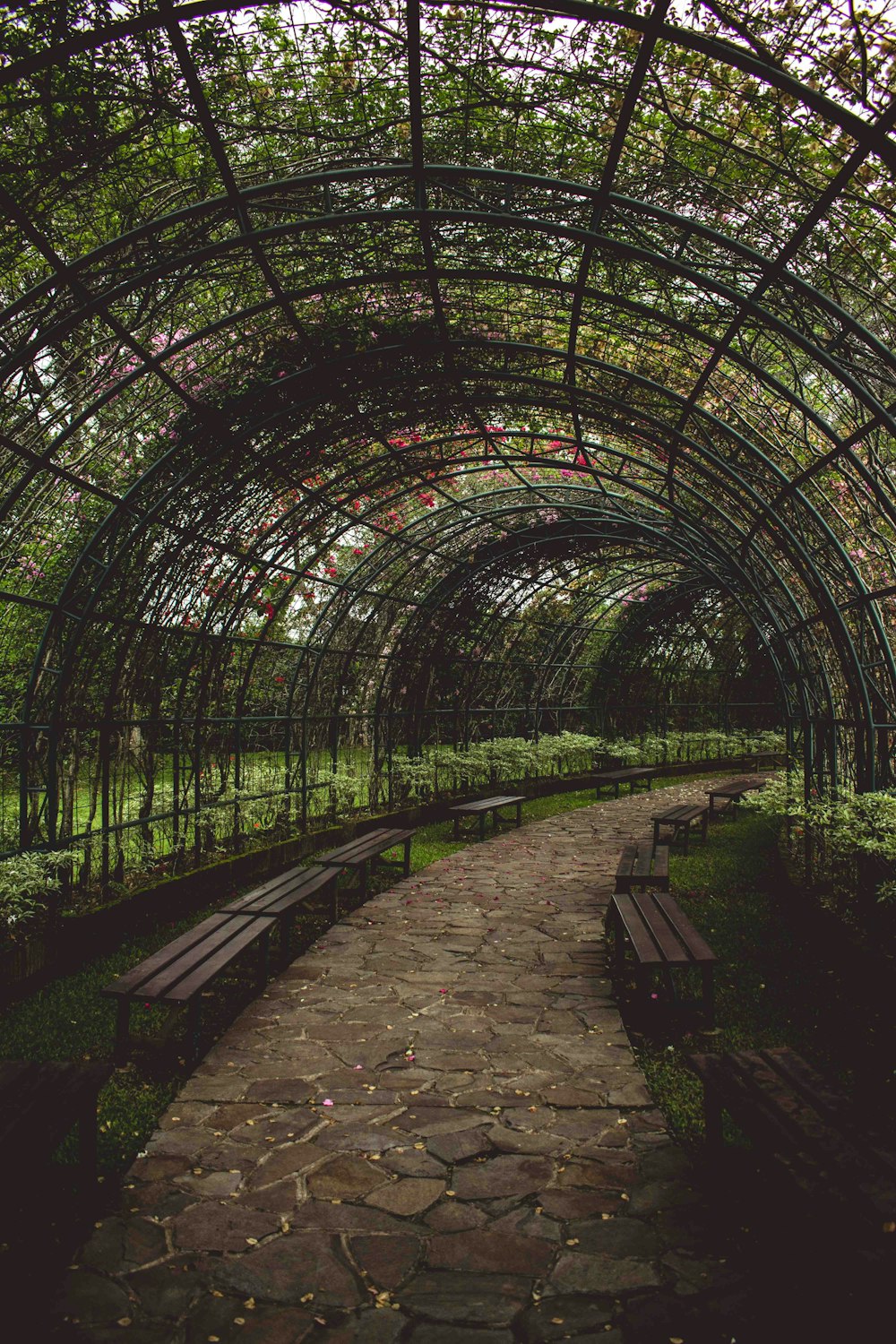 garden tunnel