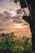 A serene balcony view overlooking dense forest at sunrise with soft golden light filtering through the trees.