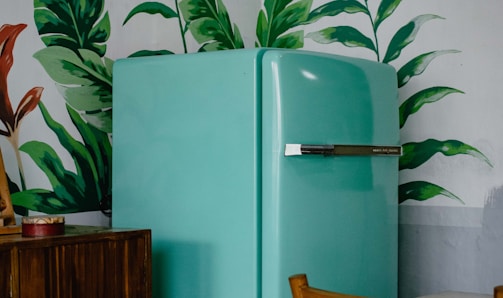 blue refrigerator beside green-leafed plant