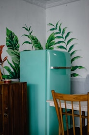 blue refrigerator beside green-leafed plant