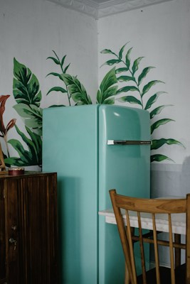 Side by side fridge