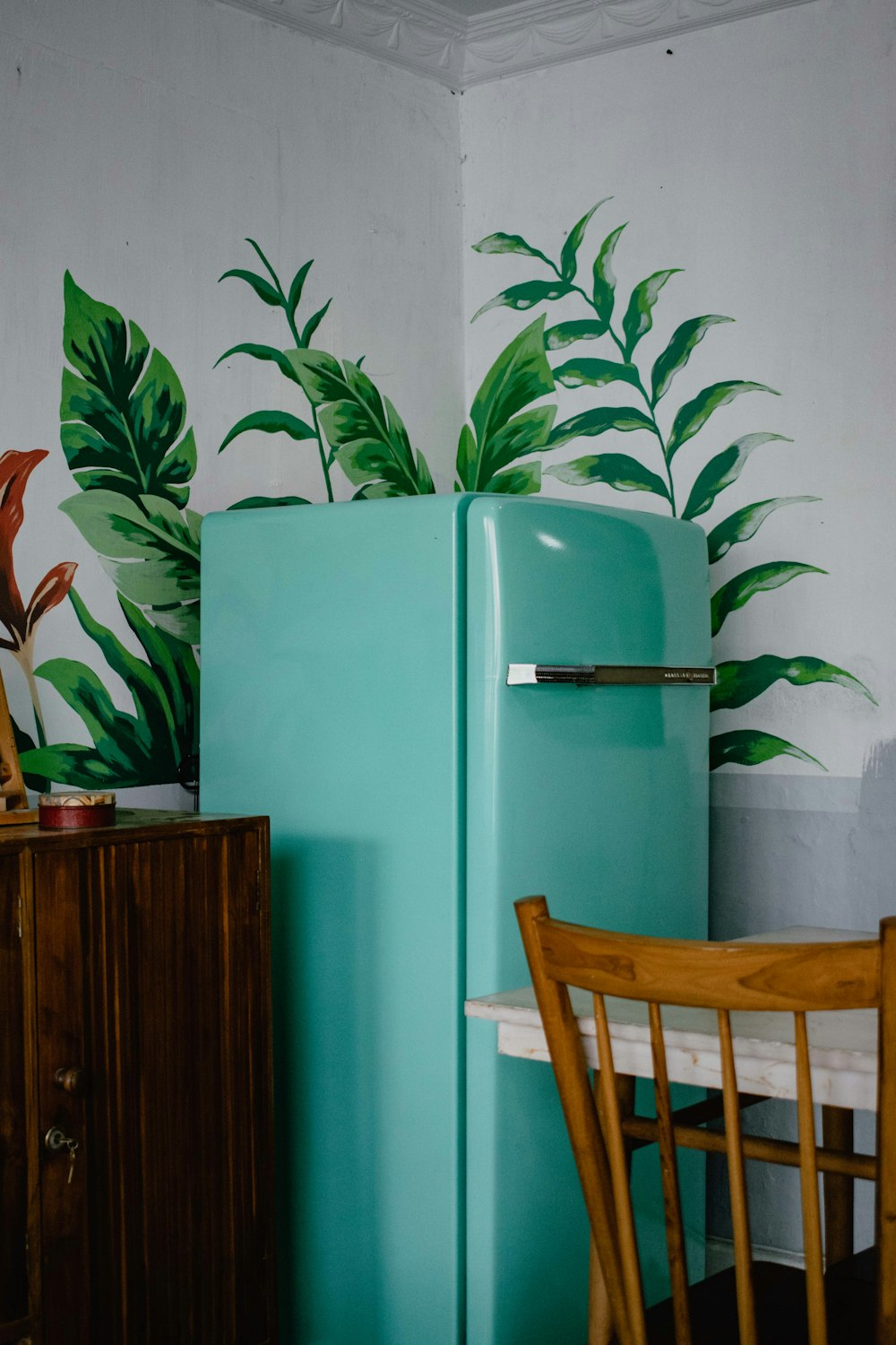 geladeira azul ao lado da planta de folhas verdes