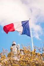 blue, white, and red flag with pole