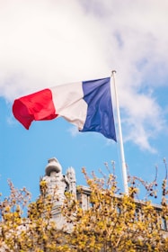blue, white, and red flag with pole