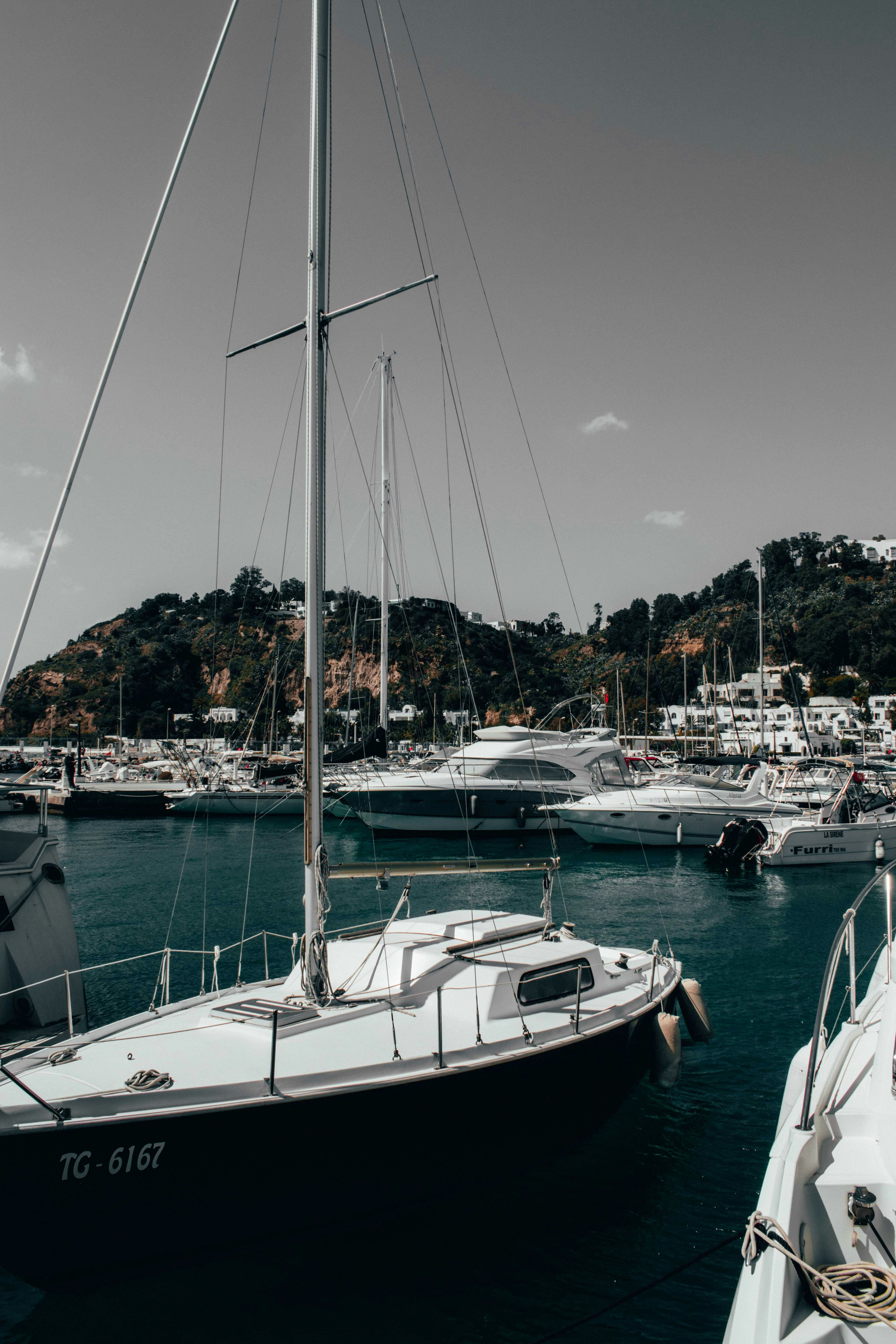 Photo by jamillatrach