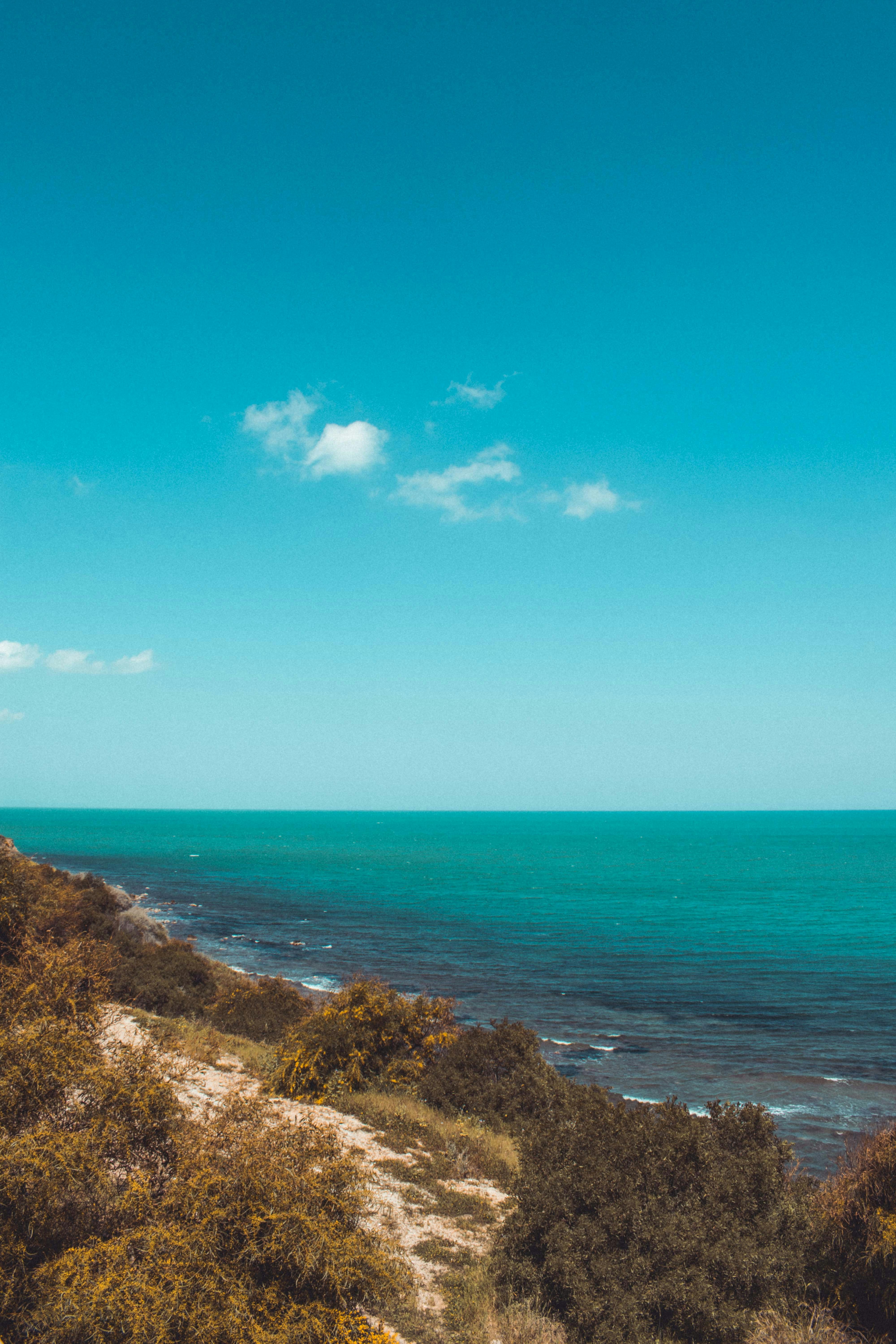 Photo by jamillatrach