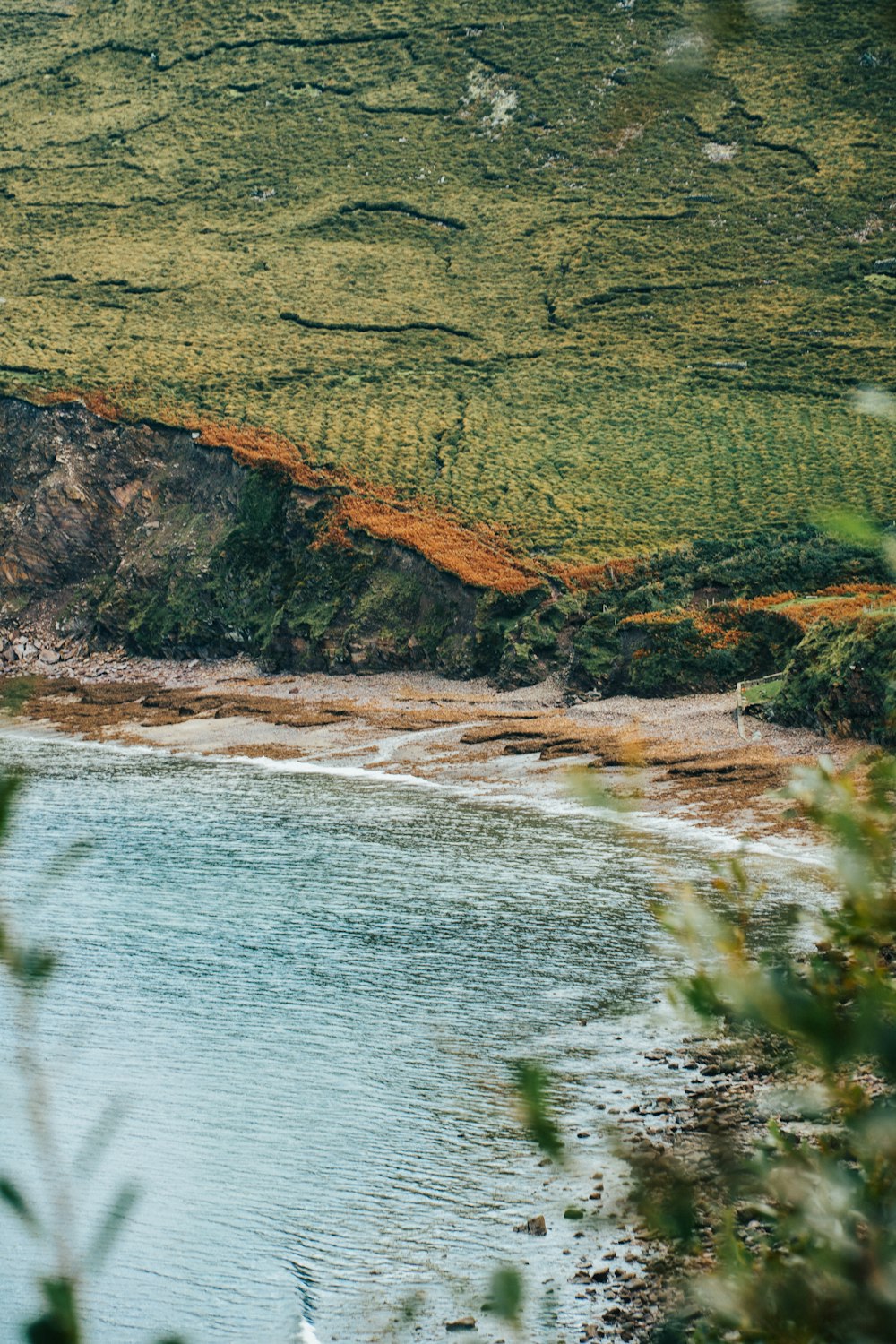 green grass field and body of water