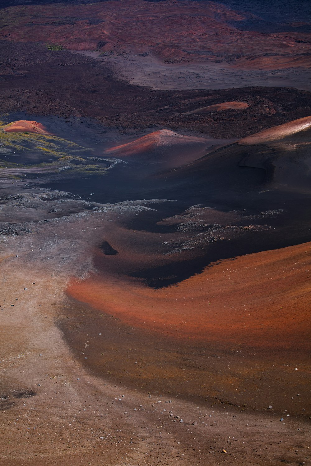 dirt covered field