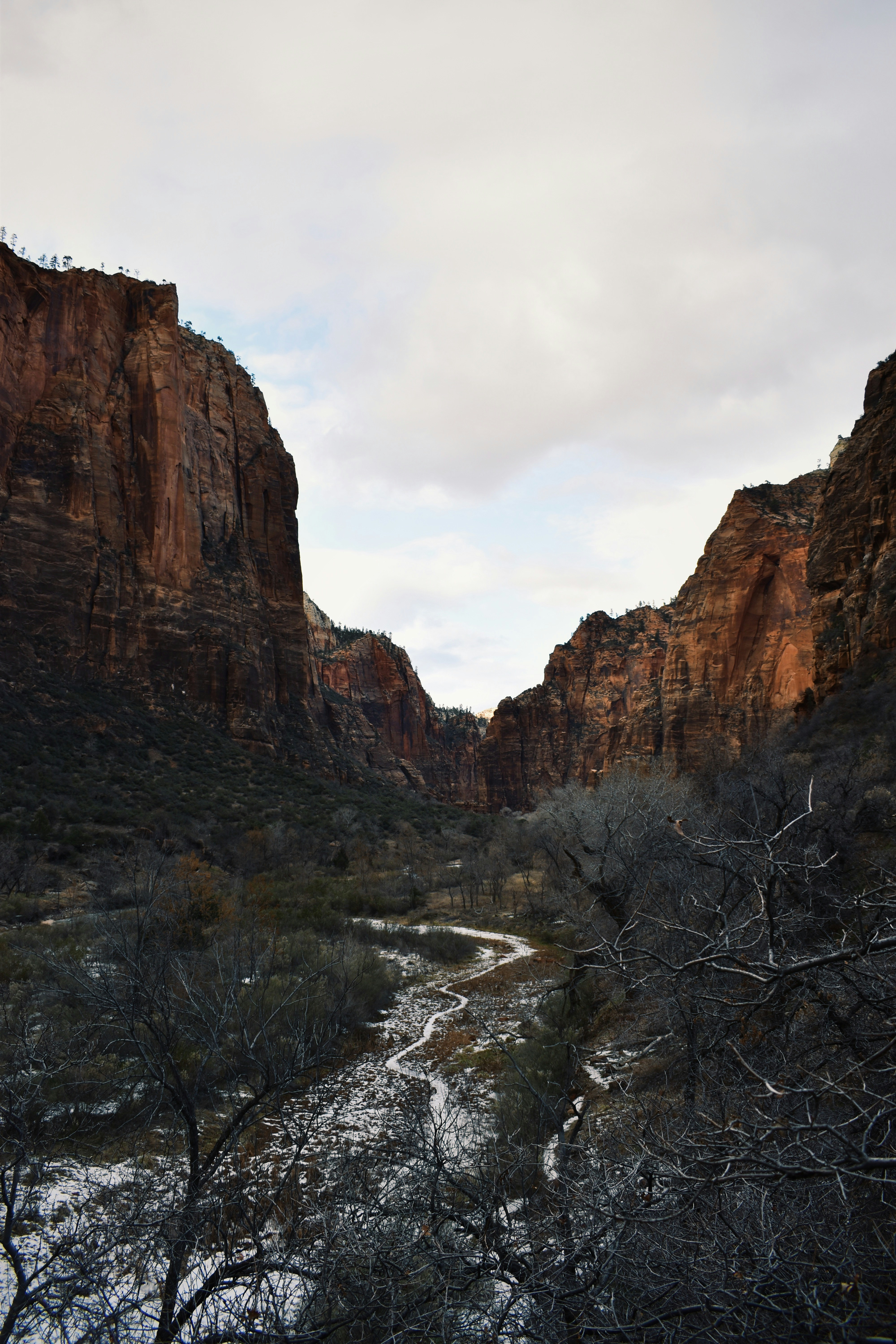 Photo by kellistovall