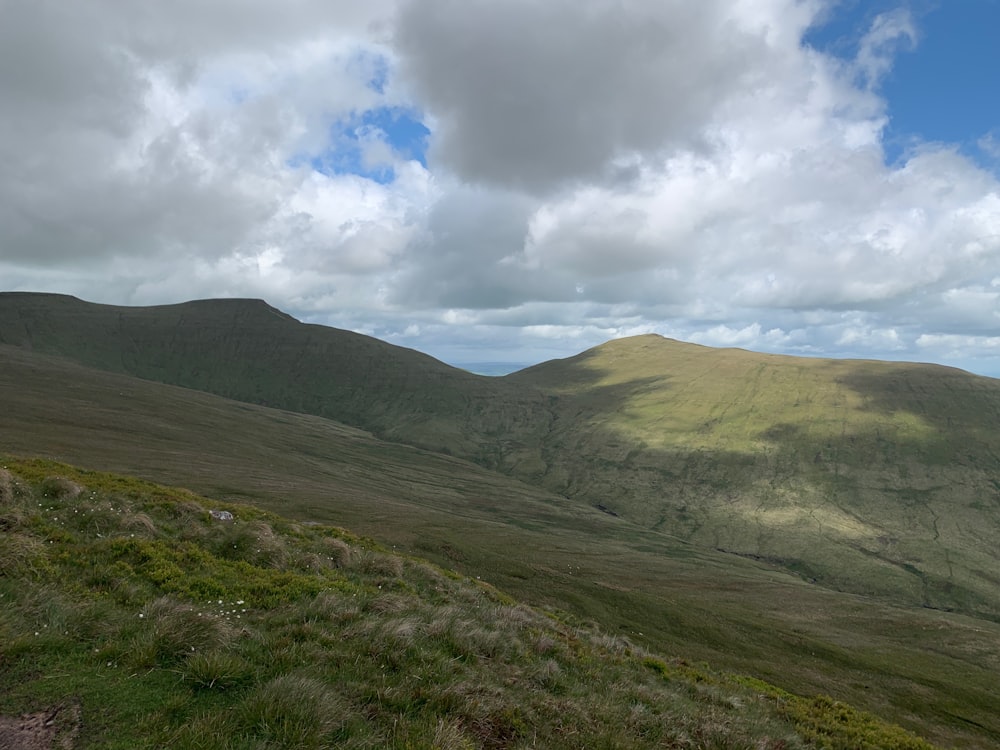 green grass on mountain