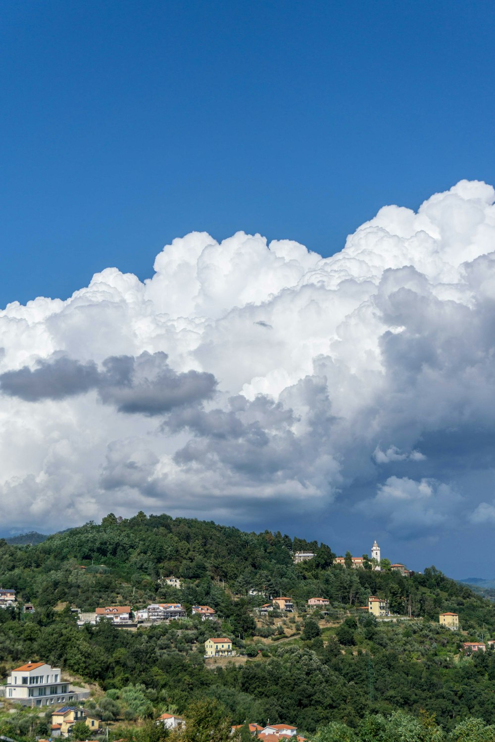 casas y árboles verdes bajo el cielo azul nublado