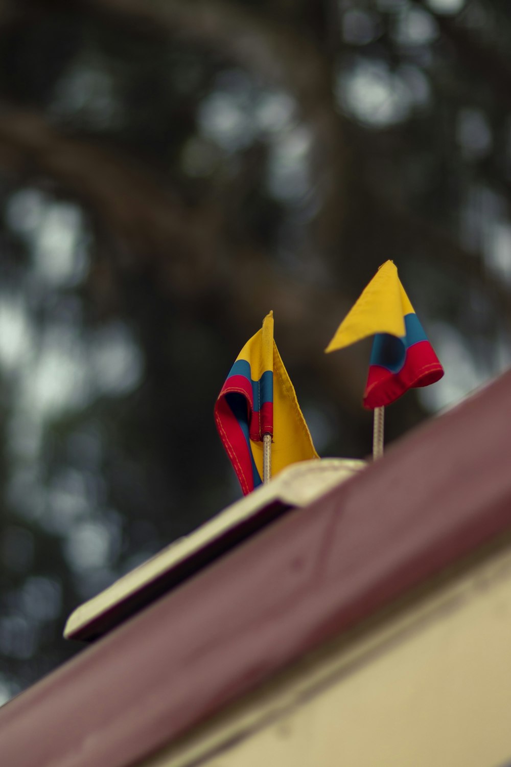 a couple of small flags sitting on top of a roof