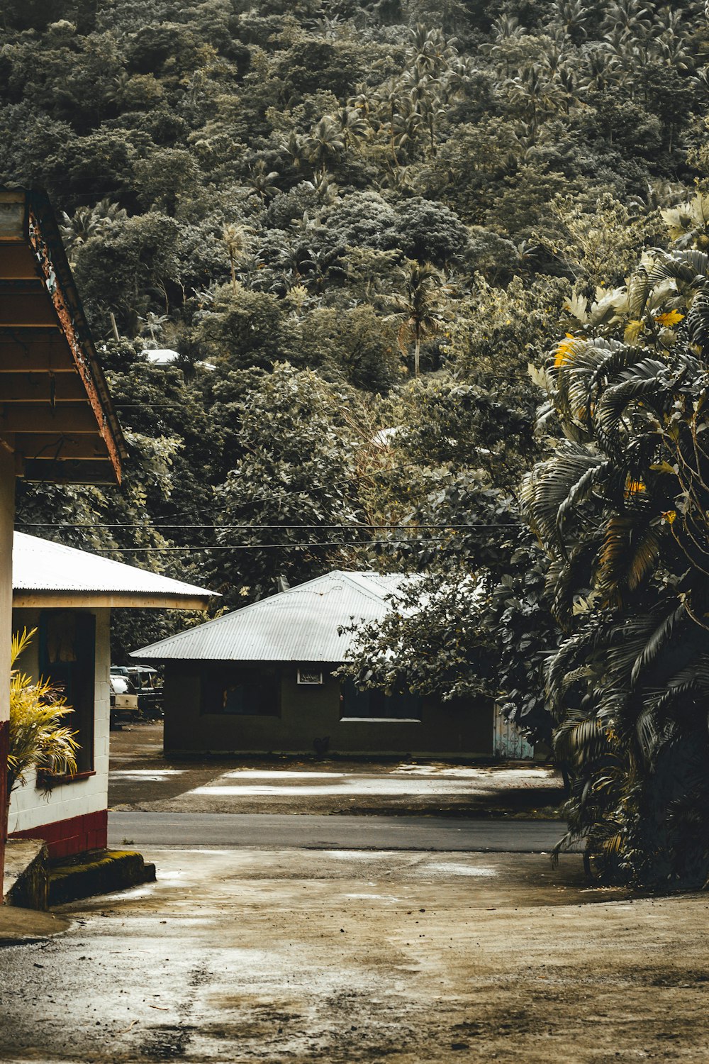 green trees beside house during daytime