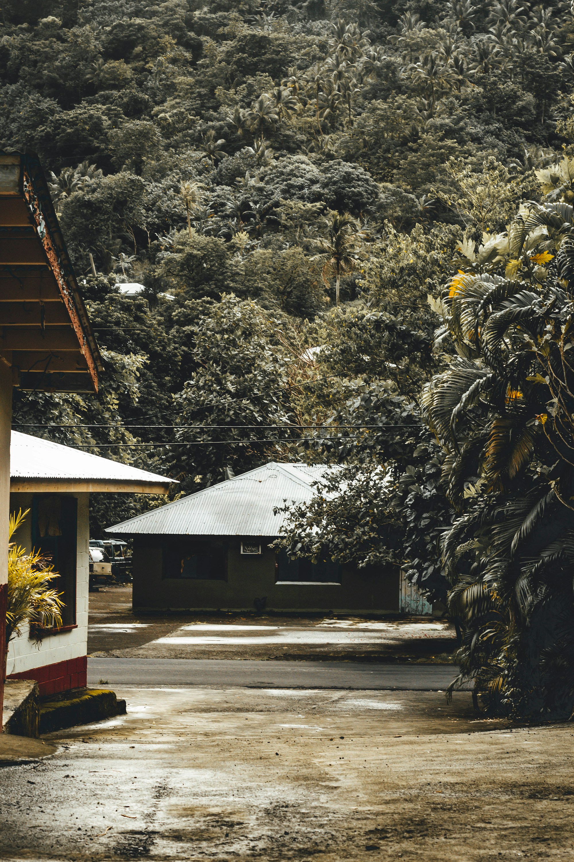Discover Samoa: A Serene Pacific Island Adventure