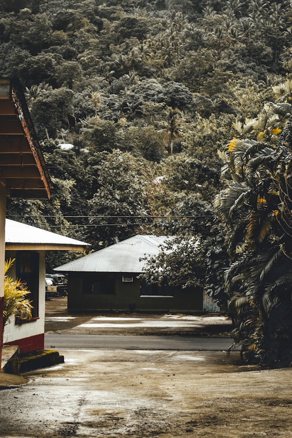 Discover Samoa: A Serene Pacific Island Adventure