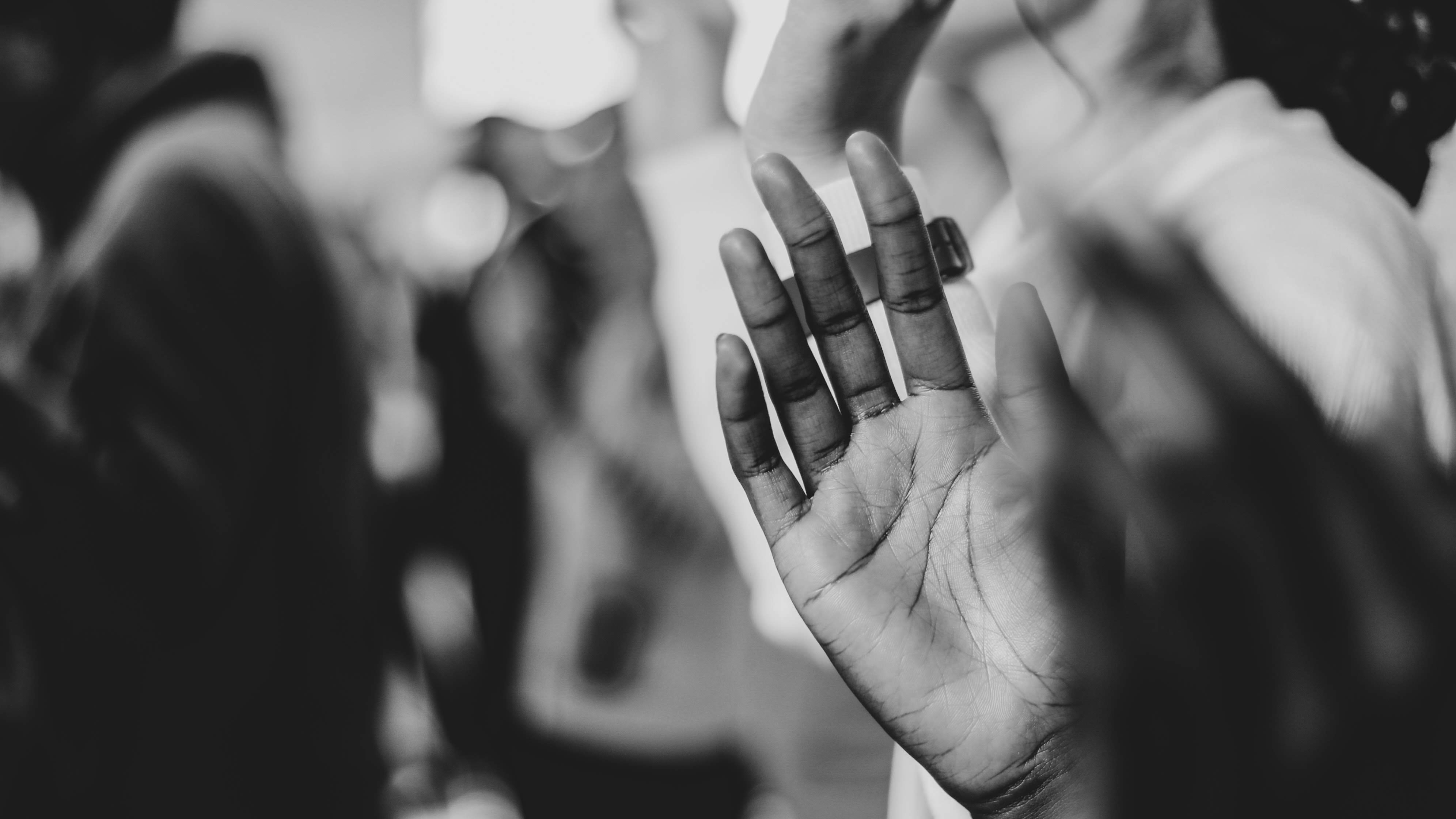 Photo by shuttersofjoy_