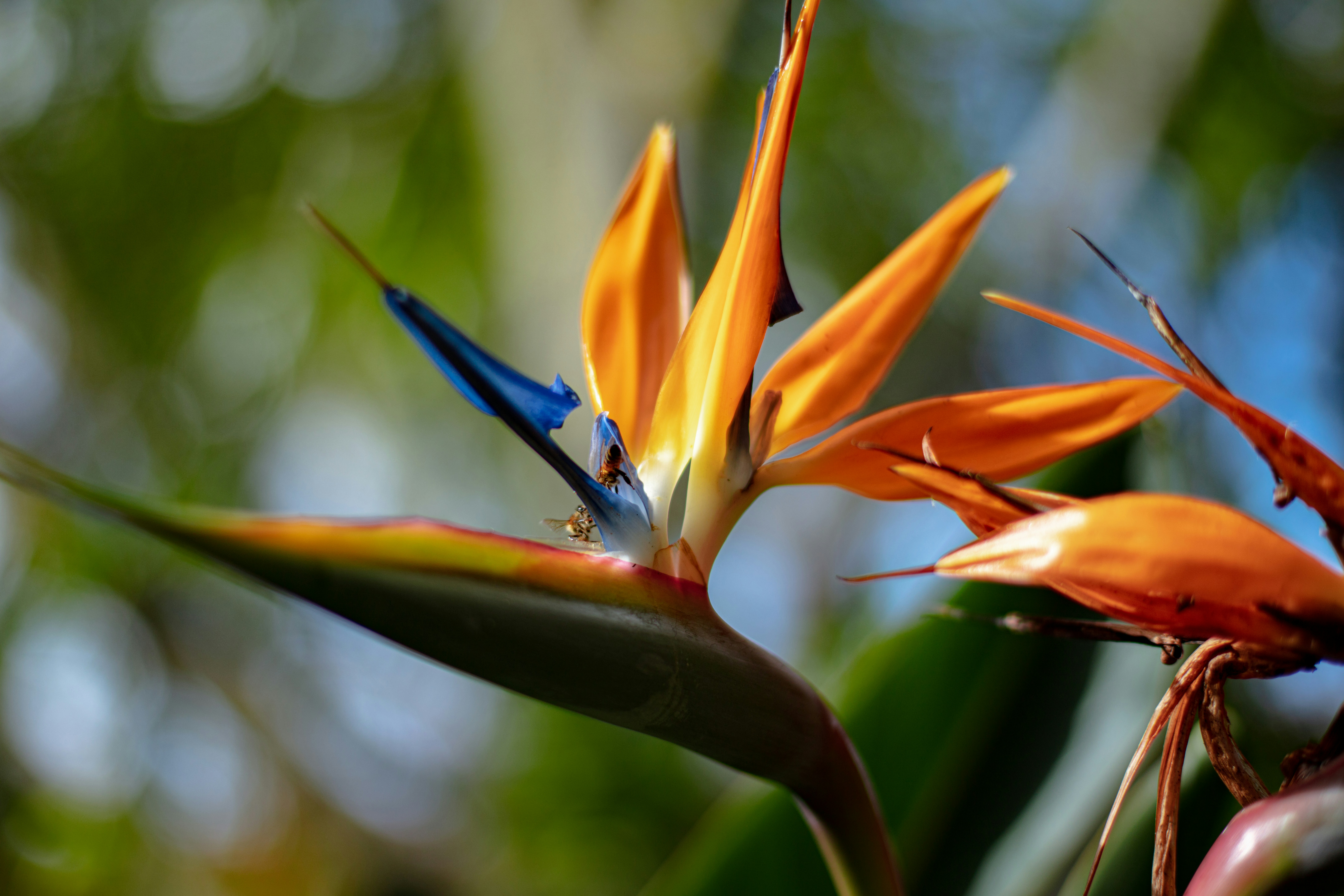 Photo by worldsbetweenlines