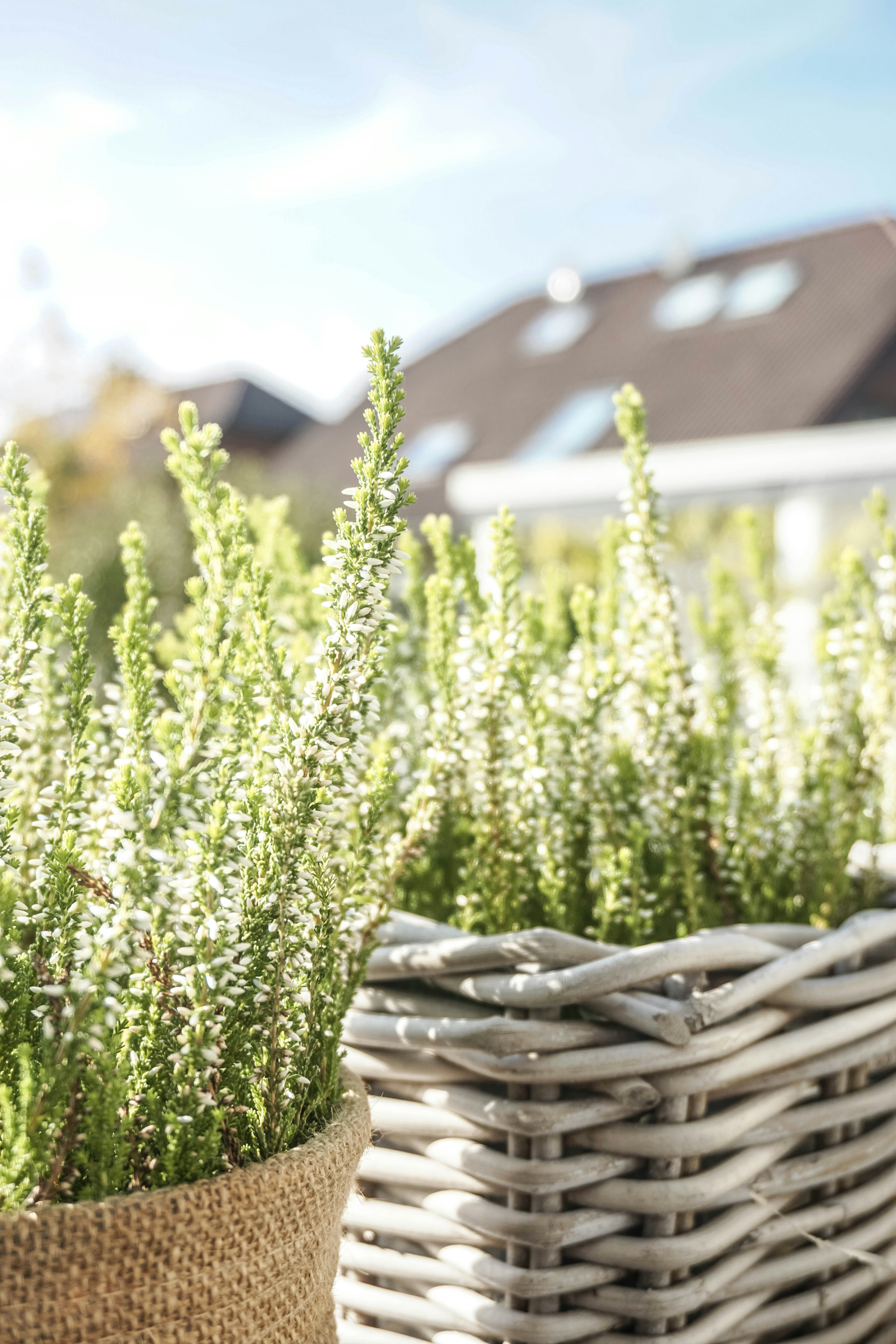 black and white bed linen