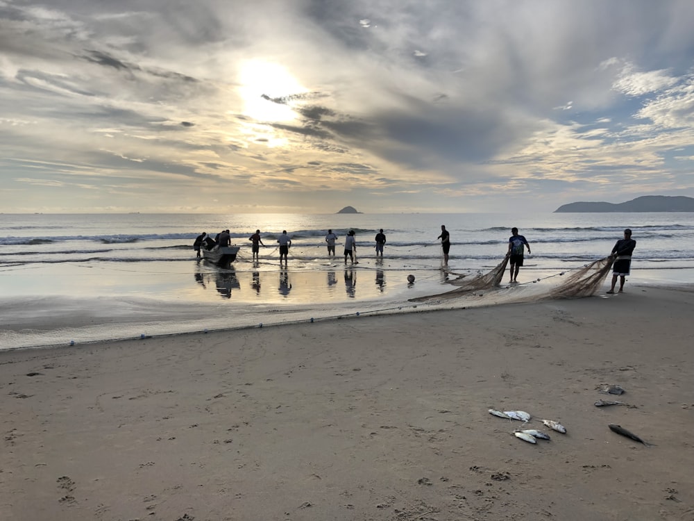 people on seashore