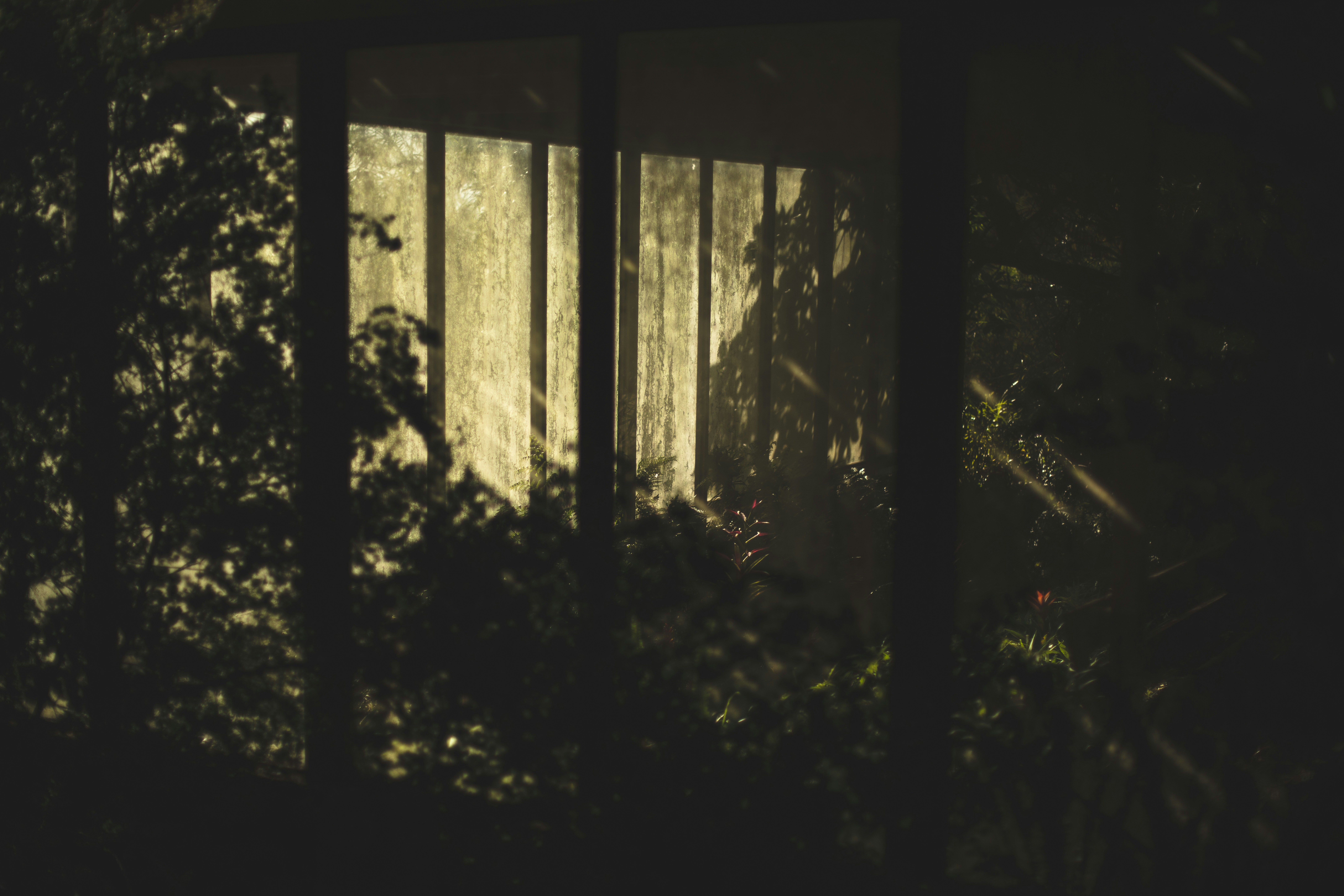 Photo by worldsbetweenlines