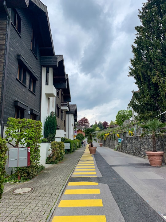 plants on road near buildings in Thun Switzerland