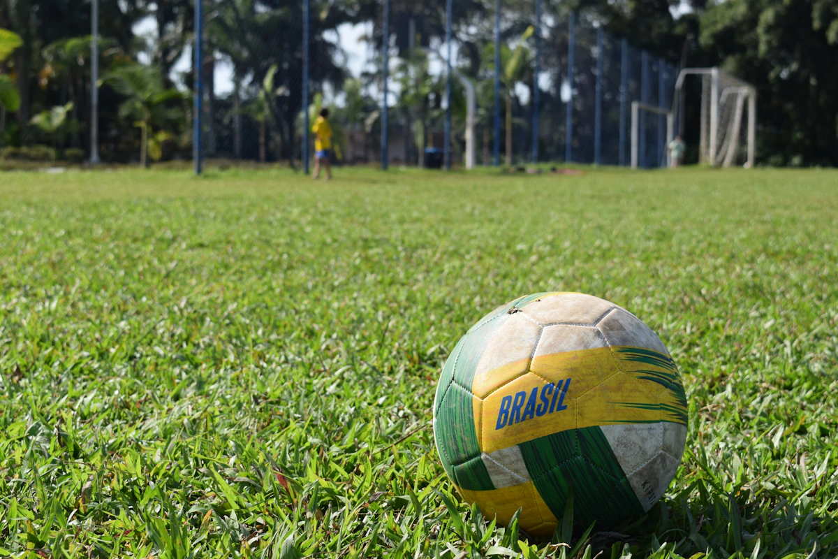 Soccer ball on green grass field - the beautiful game