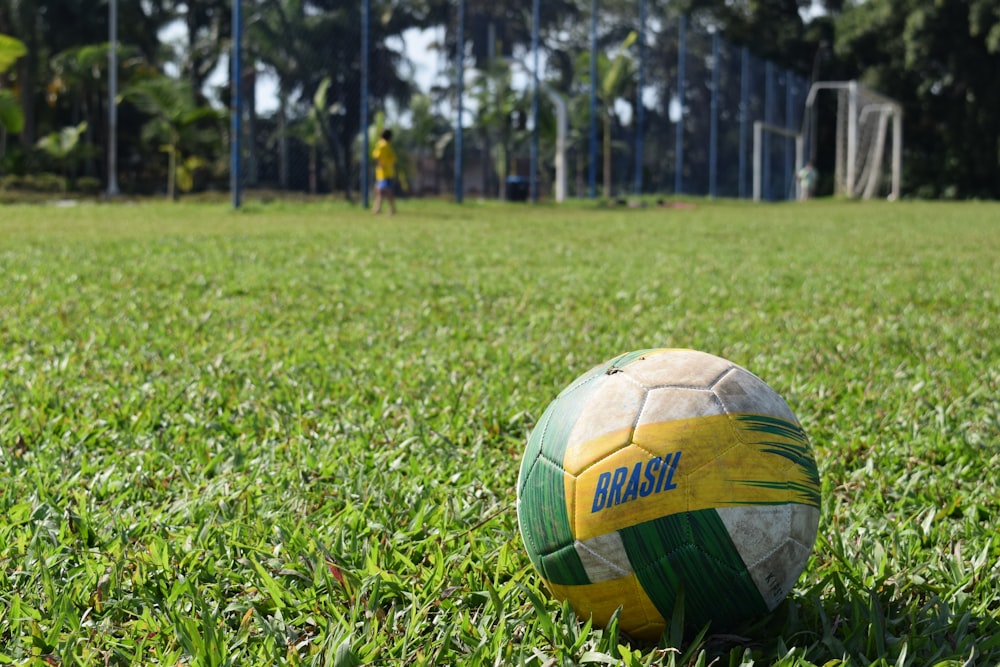 soccer ball on grass