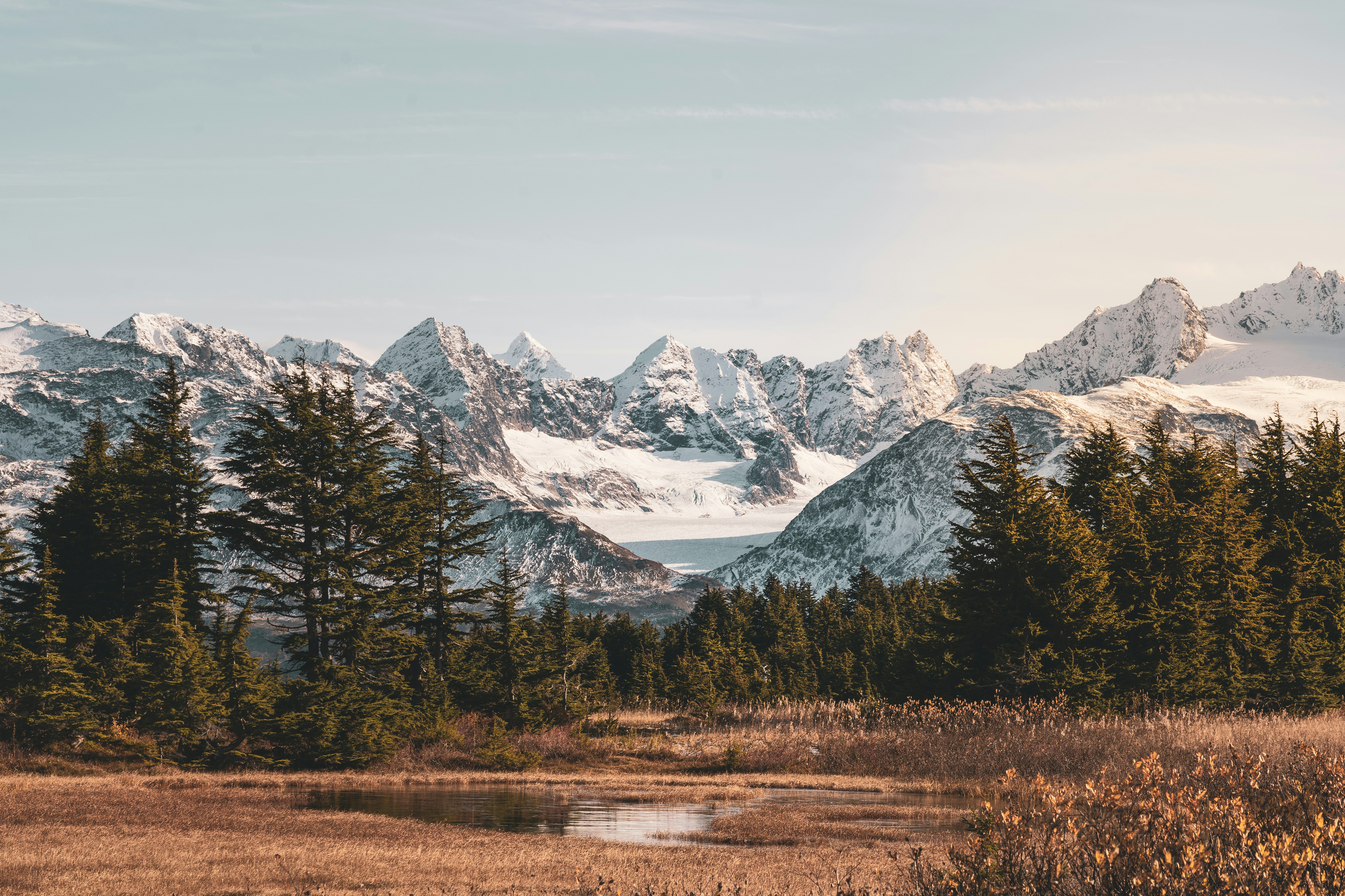 Photo by jaron_mobley